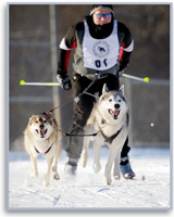 Skijoring